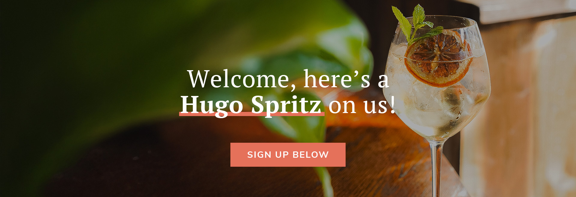 Sign up to the newsletter at The Castle Holland Park